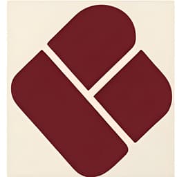 PDF Order Printer App icon