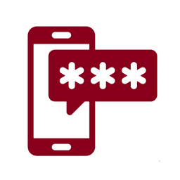 VerifyIt icon