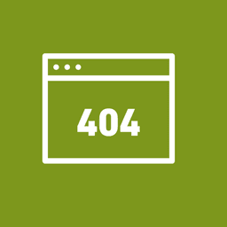 404 Custom Page icon