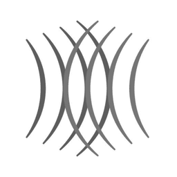 Replika Software icon