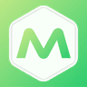 Metafields Guru icon