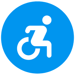 A11y Suite icon