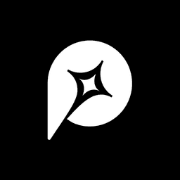 Promer AI: Store Audit & SEO icon