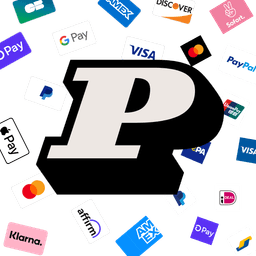 Paylio ‑ Elegant Payment Icons icon